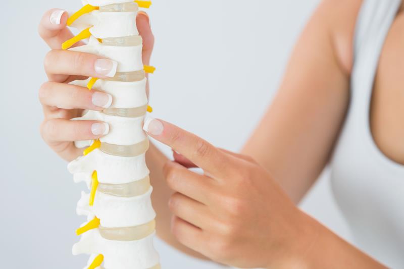 about our chiropractic office  Naples, FL 